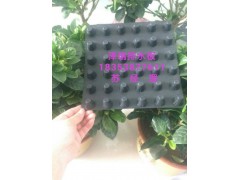 張家界建筑車庫排水板|綠化蓄排水板廠家