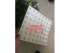 供應(yīng)%廣州車庫排水板/屋頂蓄排水板廠家