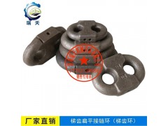 30x108扁平接鏈環(huán)濟南瑞天廠家供應歡迎