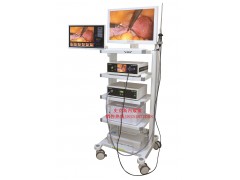 史克斯內(nèi)窺鏡超高清攝像系統(tǒng)/攝像機/冷光源/監(jiān)視器/儀器車