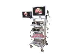 史克斯纖維膽道鏡/纖維輸尿管鏡/纖維喉鏡/纖維支氣管鏡