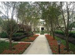 山西晉恒園林景觀工程   小區(qū)綠化