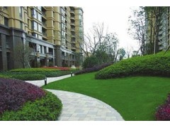 山西晉恒綠化公園草坪  園藝草坪