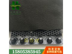 濟(jì)南車庫(kù)厚30mm凹凸型排蓄水板無(wú)紡布