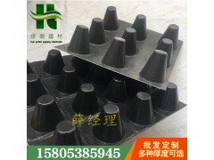 鹽城支點(diǎn)型塑料排水板）凸片車庫(kù)復(fù)合異形片