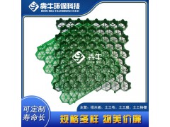 桂林隱形消防通道HDPE護坡植草格質(zhì)量可靠