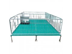 仔豬保育床 小豬仔雙體保育床生產(chǎn)廠家