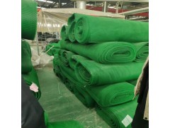 三維植被網(wǎng)綠化護(hù)坡響當(dāng)當(dāng)