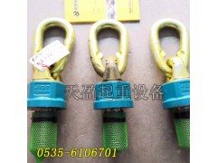 TP0.7德國(guó)JDT萬(wàn)向吊環(huán)M10x18,萬(wàn)向吊環(huán)質(zhì)保1年