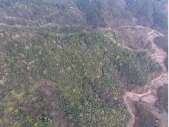 浙江眾扶農(nóng)業(yè)，湖州眾扶發(fā)展，湖州茶園加盟，浙江茶山加盟