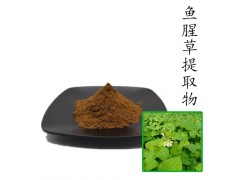 魚腥草提取物10:1 散裝濃縮粉