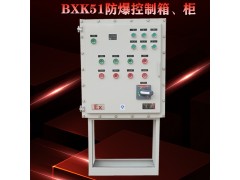 首安動力電氣儀表箱儀表柜防爆儀表箱防爆端子箱檢修箱