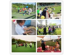 給個主意組織武漢學生春游導游們要有哪些要做的