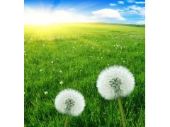 輕醫(yī)美廠家-輕醫(yī)美廠家電話