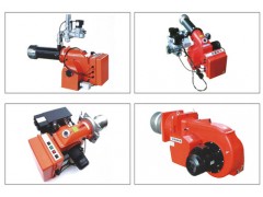 任丘市廣瑞生物科技有限公司，河北燃燒機廠家