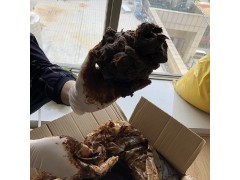 731武漢生產(chǎn)廠家 氧化石蠟皂全國可發(fā)