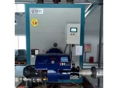 英國熱馬HEATHORSE低氮燃燒器HH-GLN一體機系列