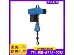 D3L012鏈式智能提升機,智能提升設備龍海起重質保兩年
