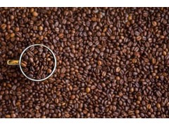 咖啡豆進(jìn)口需要哪些單證資料