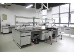 環(huán)境監(jiān)測(cè)實(shí)驗(yàn)室設(shè)計(jì)建設(shè)方案