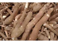 魔芋淀粉報關(guān)清關(guān)代理