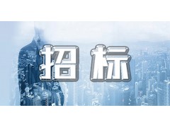【公示】上海數(shù)字產(chǎn)業(yè)發(fā)展有限公司業(yè)務管理平臺開發(fā)升級項目招標