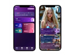 智能情趣產(chǎn)品解決方案，降低技術(shù)風(fēng)險，快速提升品牌競爭力