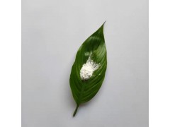 定制偶聯(lián)劑改性高純3N納米級氧化鎂粉末